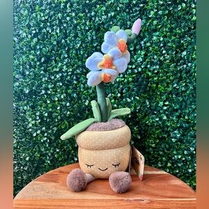 Greenhouse by Russ 12” Easter Orchid Plant Plush